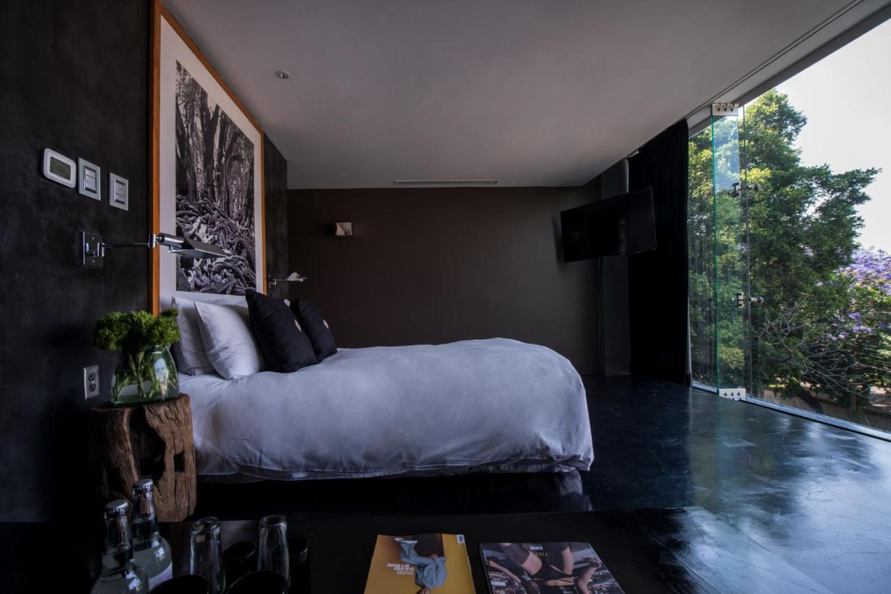 Demetria Hotel Guadalajara Dış mekan fotoğraf
