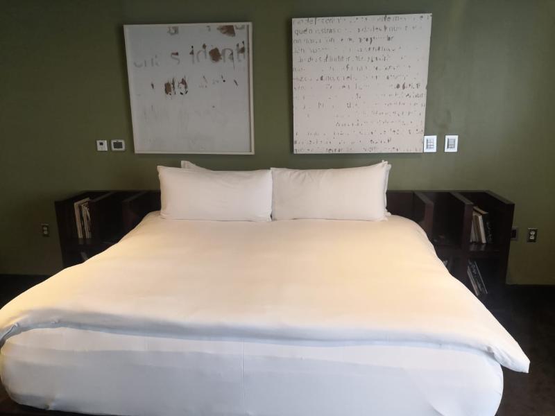 Demetria Hotel Guadalajara Dış mekan fotoğraf